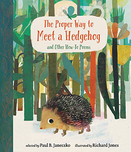Proper Way to Meet a Hedgehog